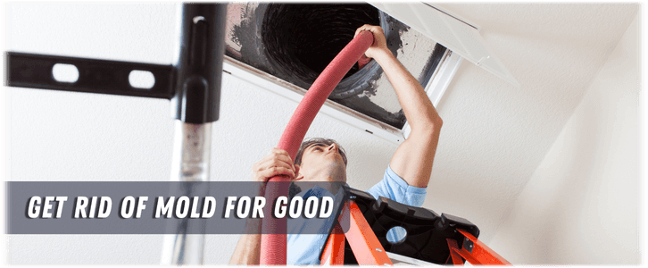 Air Duct Mold Removal in North Brunswick NJ